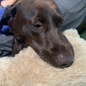 Meet your Posher, Taya